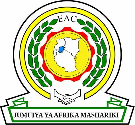 Contact Lewin Africa